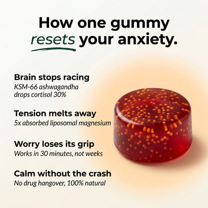 Dream Blend Gummies