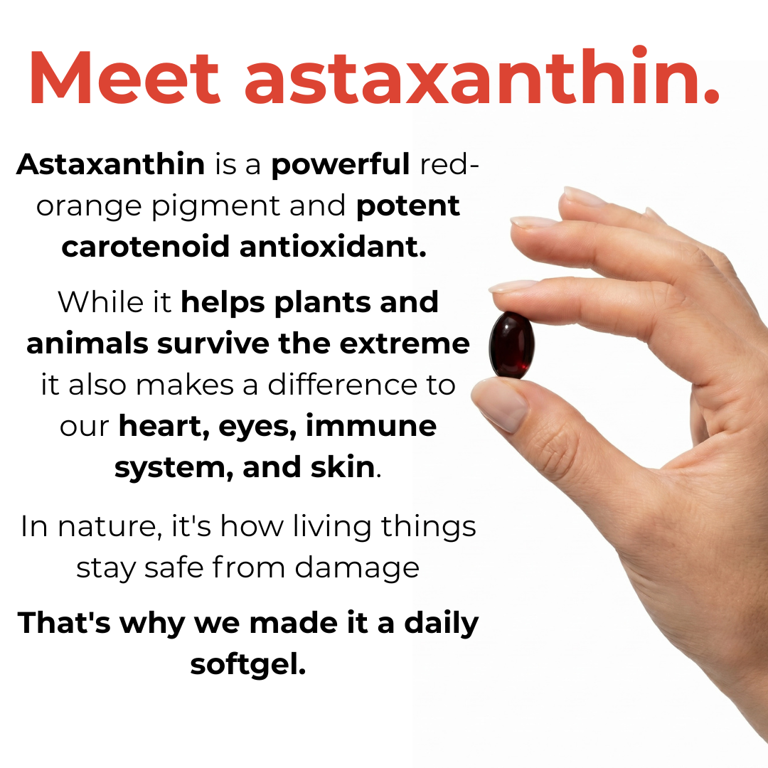 Bellavia Astaxanthin 12mg