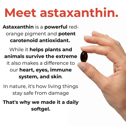 Bellavia Astaxanthin 12mg
