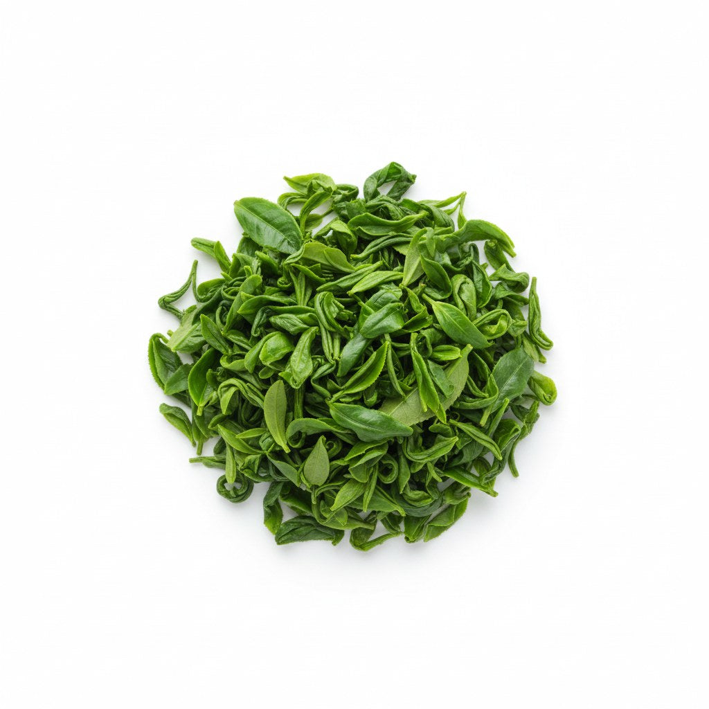Green Tea Extract
